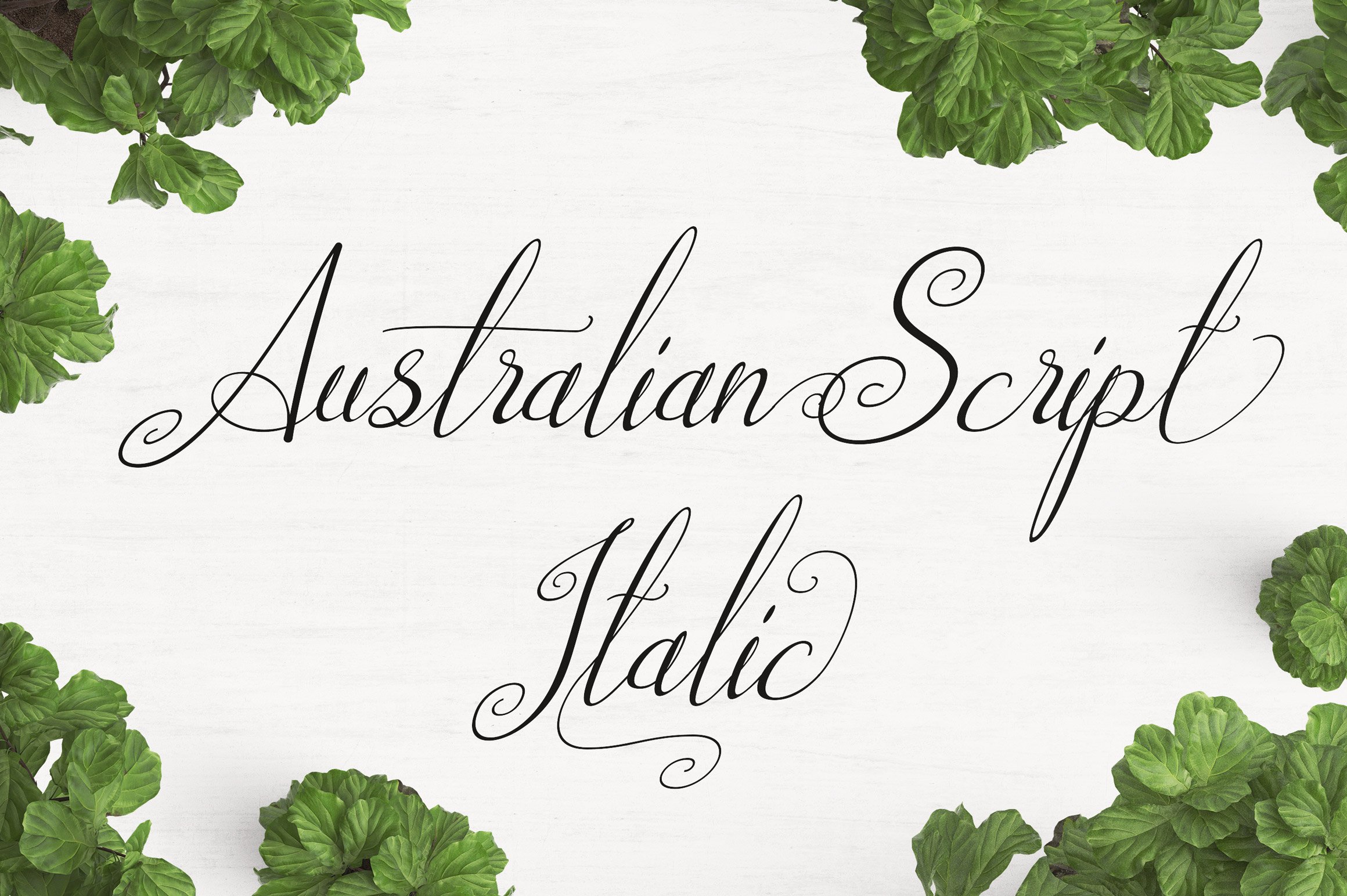 Australian Script Italic cover image.