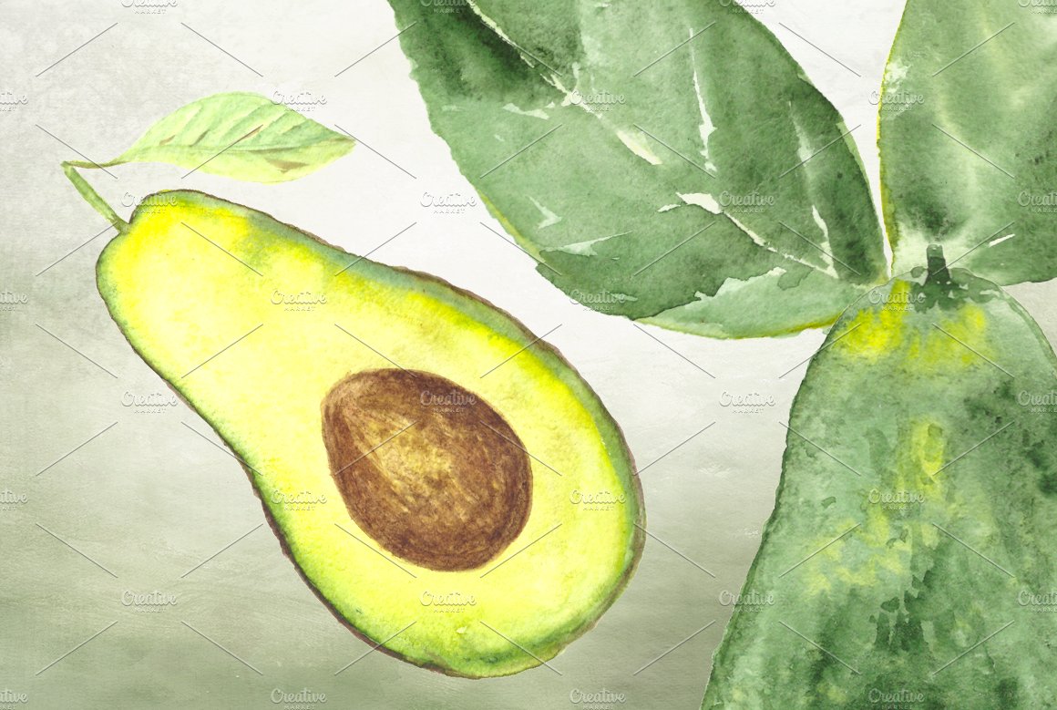 10 Watercolor Avocado Clip Art Set preview image.