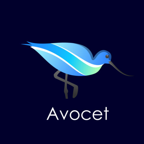 Modern colorful Avocet bird logo design template vector illustration cover image.