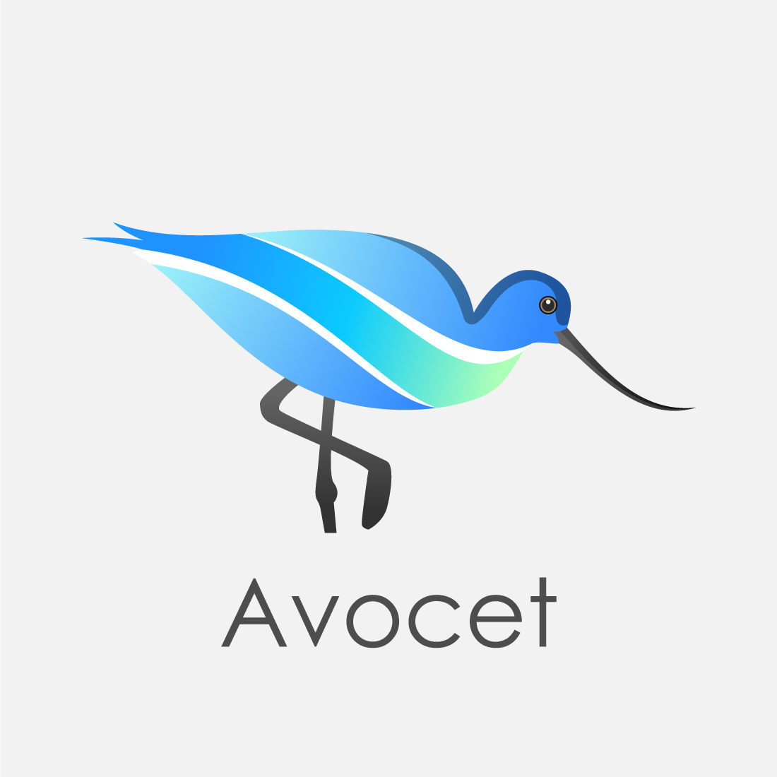 Modern colorful Avocet bird logo design template vector illustration preview image.