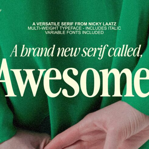The Awesome Serif Family (32 Fonts) cover image.