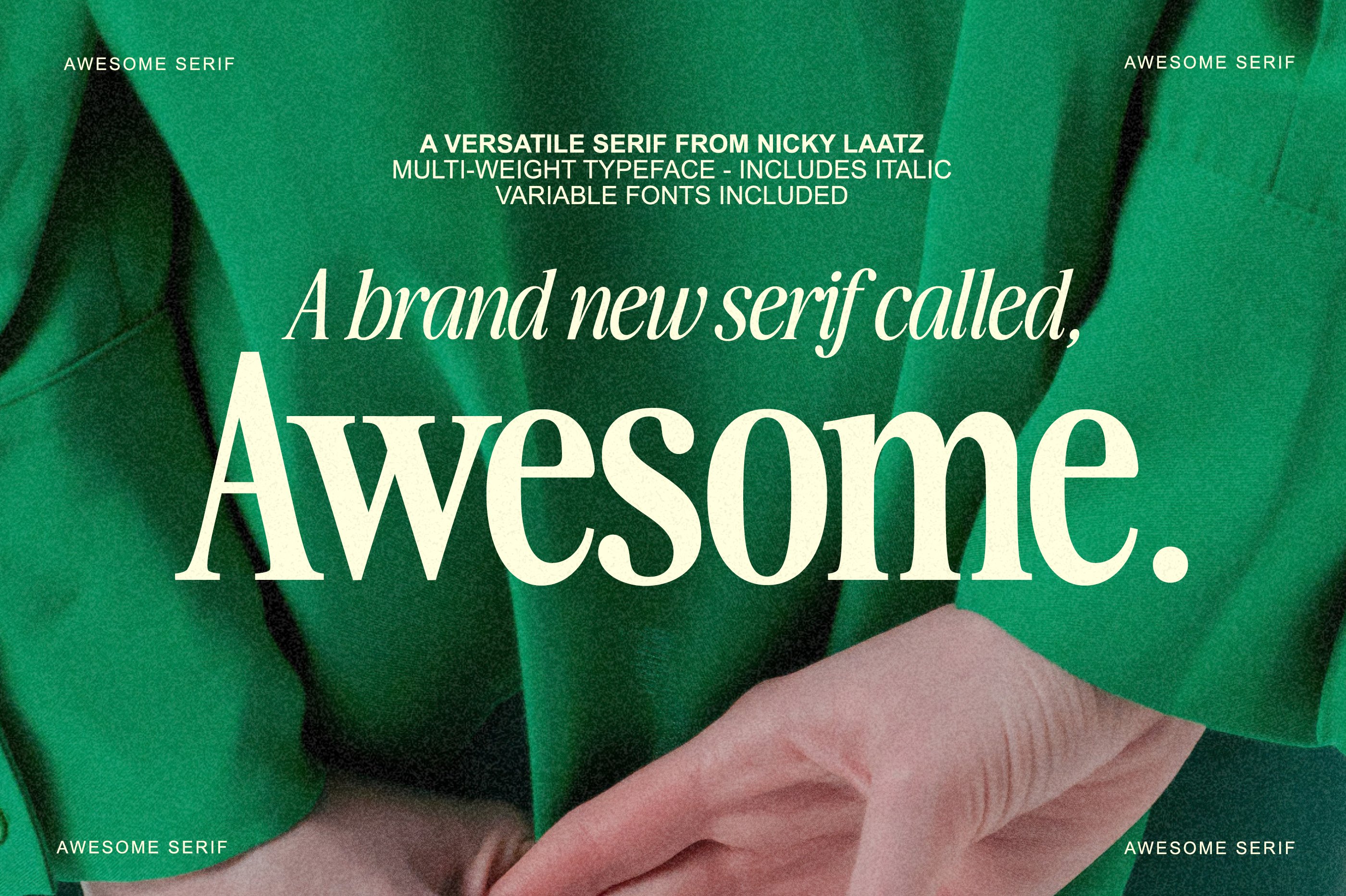 The Awesome Serif Family (32 Fonts) cover image.