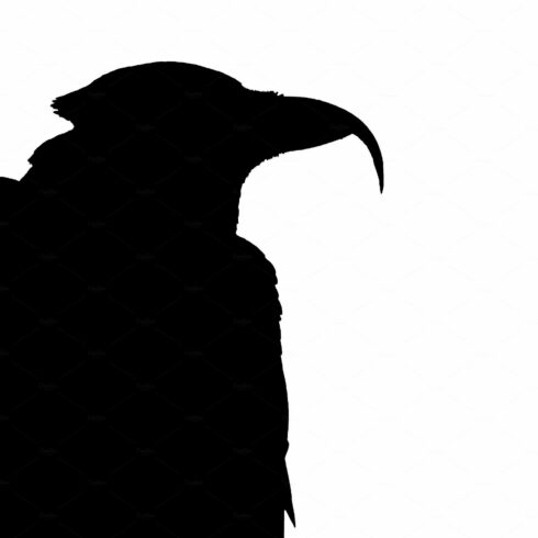 Black Crow Side View Isolated Graphic Silhouette cover image.