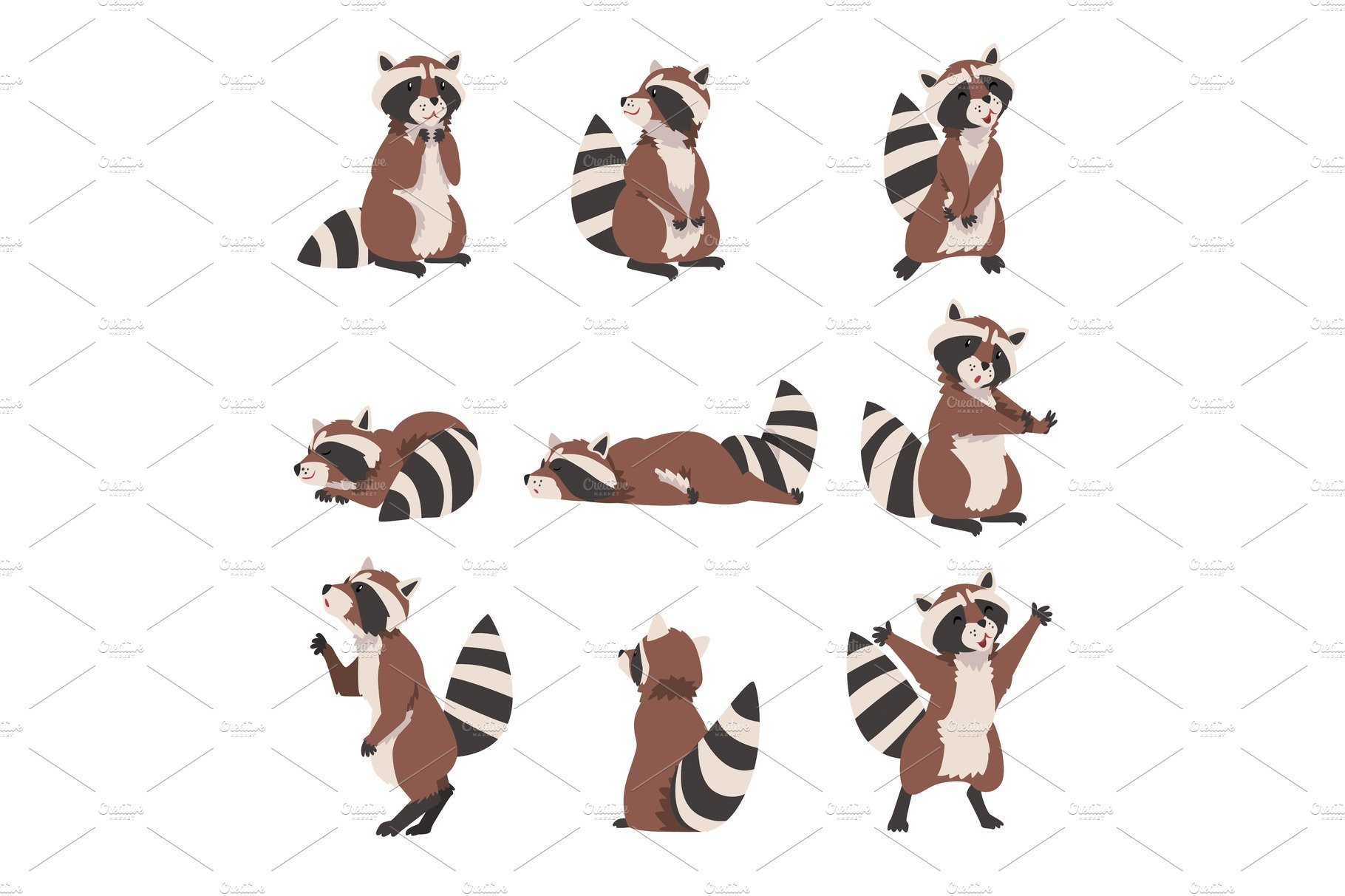 Cute Raccoon Collection, Adorable cover image.
