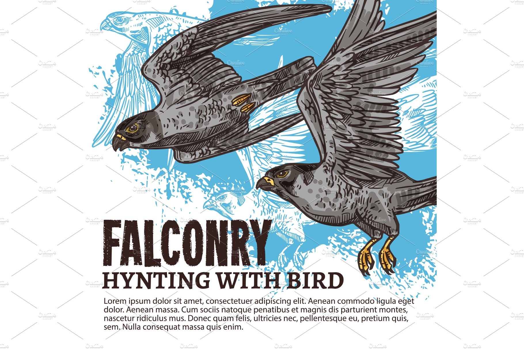 Falconry hunting, wild falcon birds cover image.