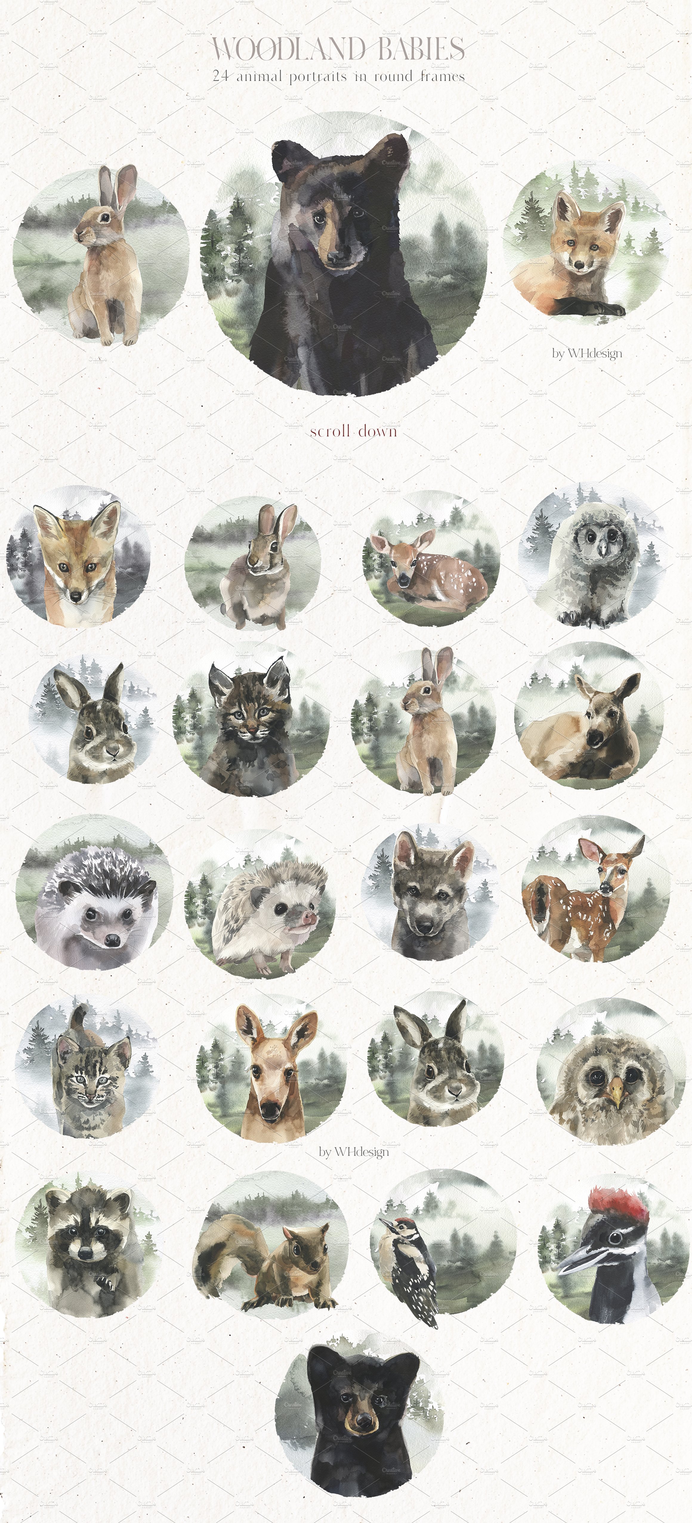 baby animals portraits backgrounds watercolor clipart 2 943