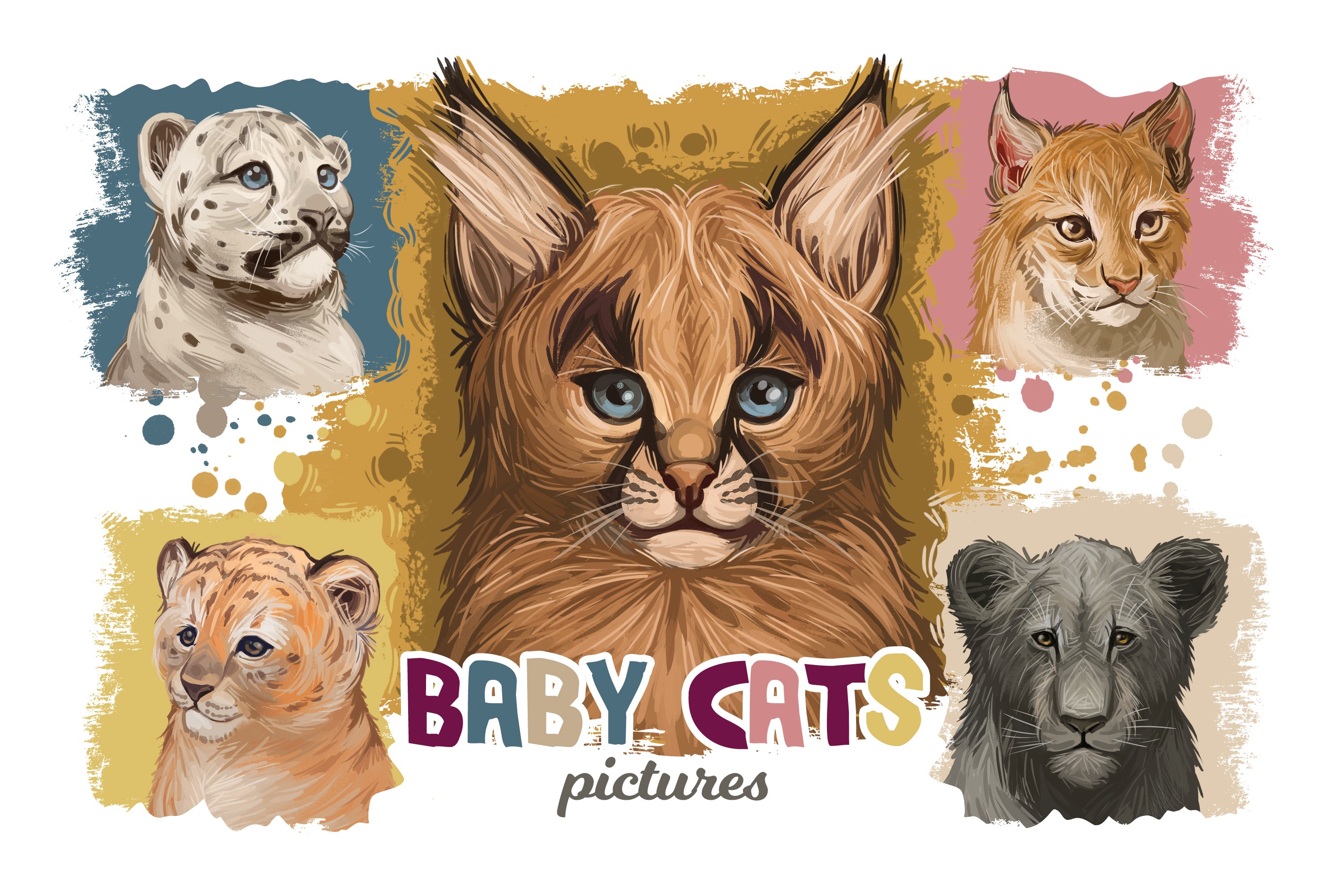 Wild Cats Baby Animals 15 Species cover image.
