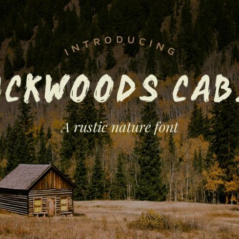 Backwoods Cabin Font cover image.