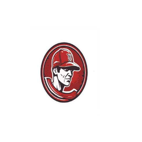 Baseball team logo in two colors cover image.