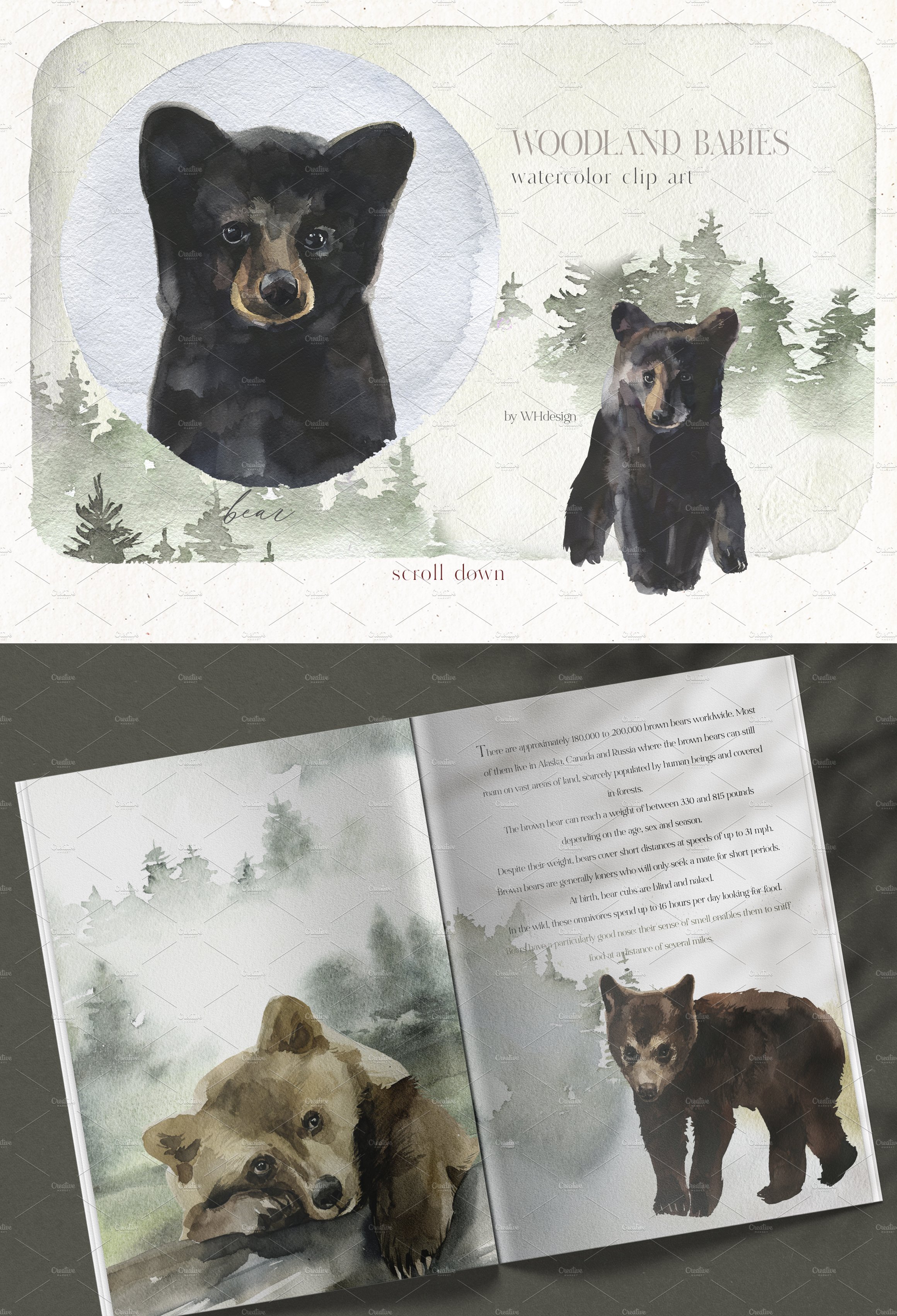 bear baby watercolor clipart 1 671