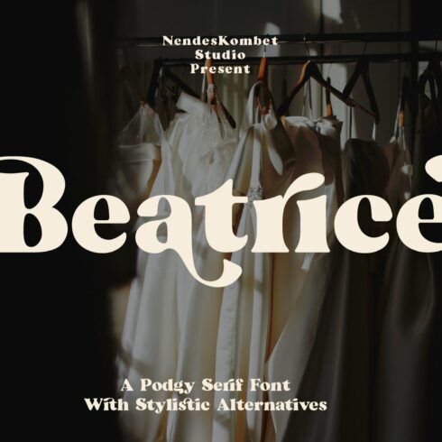 Beatrice - Retro Serif Font cover image.