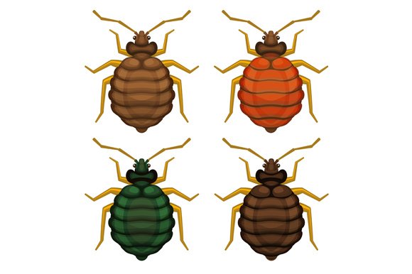 Bedbug Set cover image.