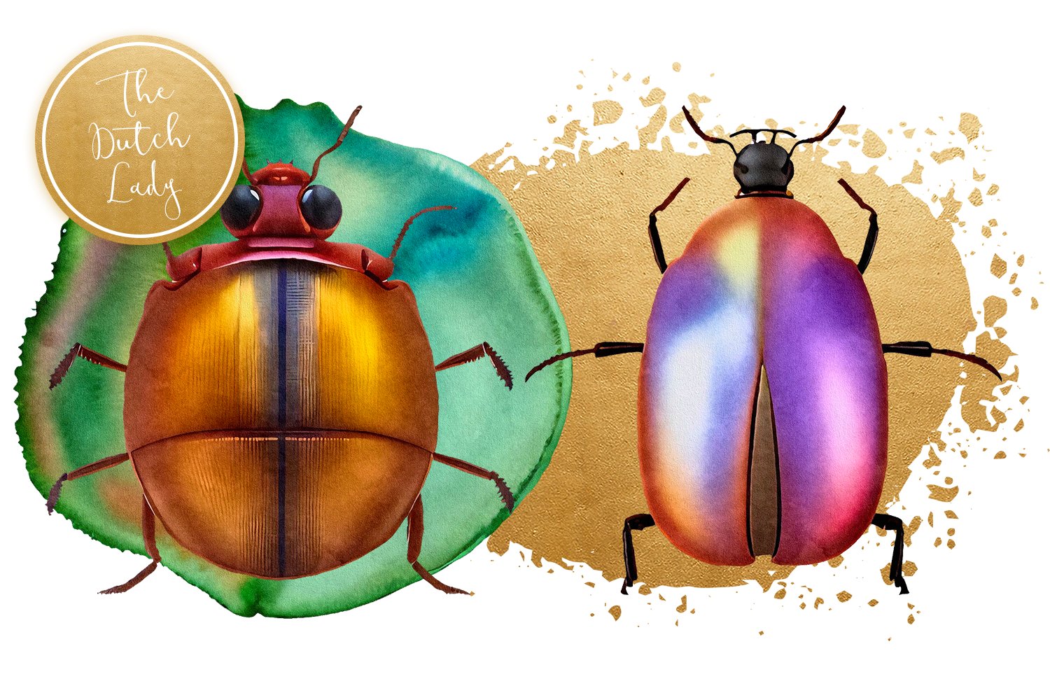 beetles and moths clipart 991