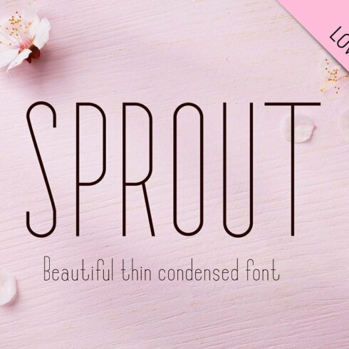 Sprout - Sans Serif Font cover image.