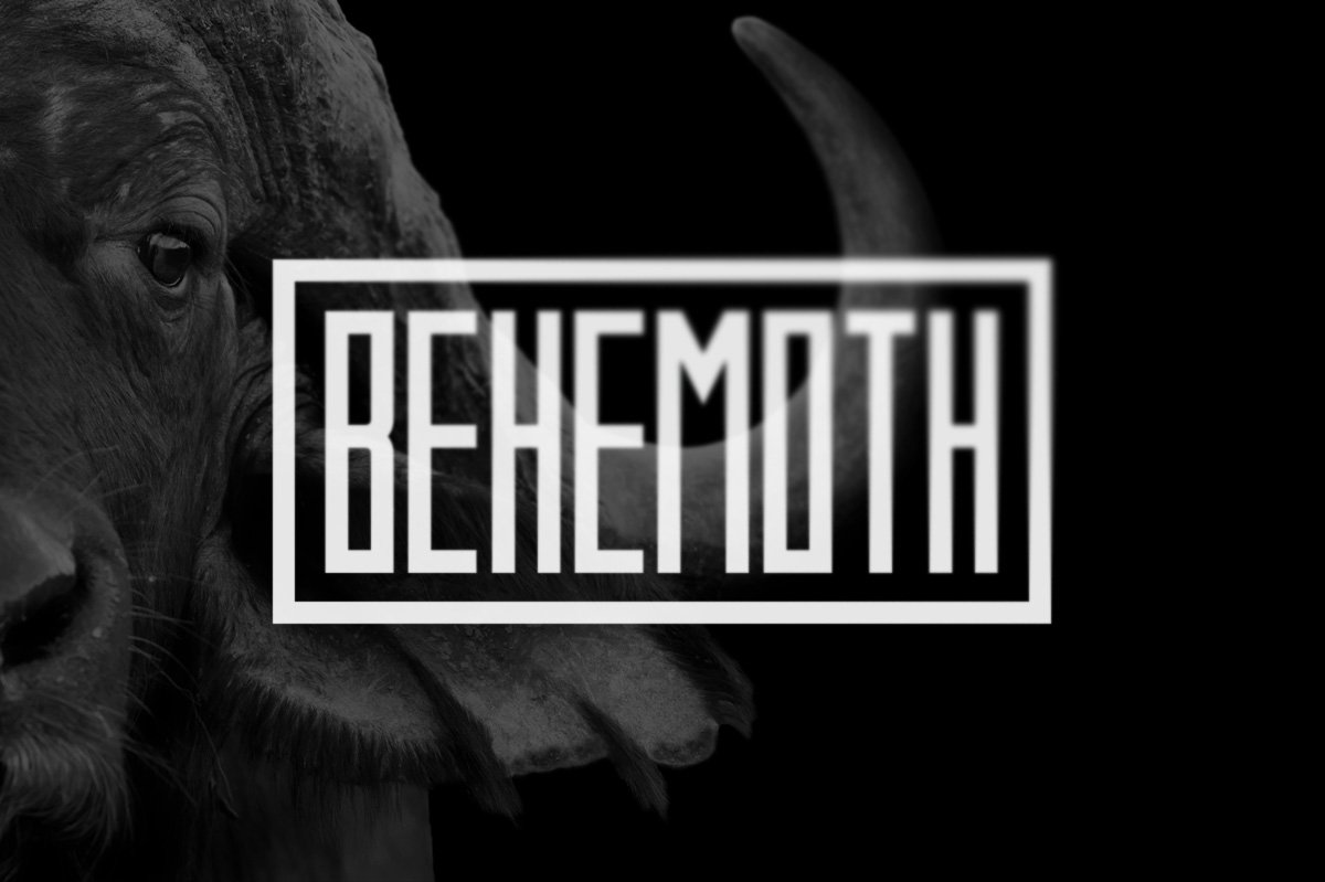 Behemoth Typeface cover image.