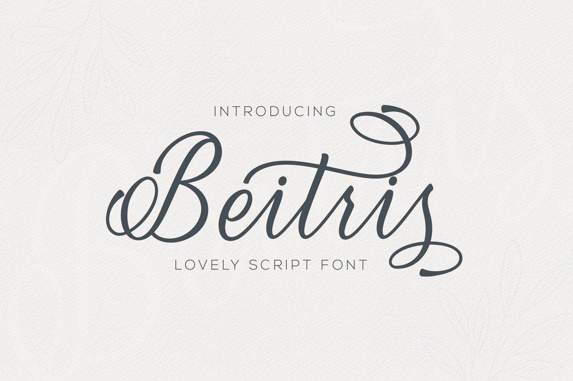 Beitris Script cover image.
