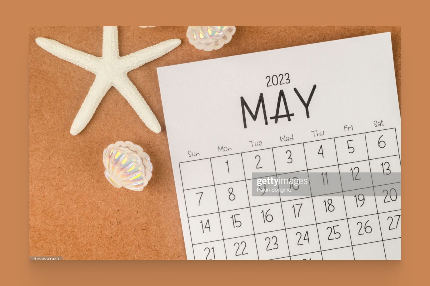 Calendar for May 2023 with a starfish and shellfish against a brown paper background
