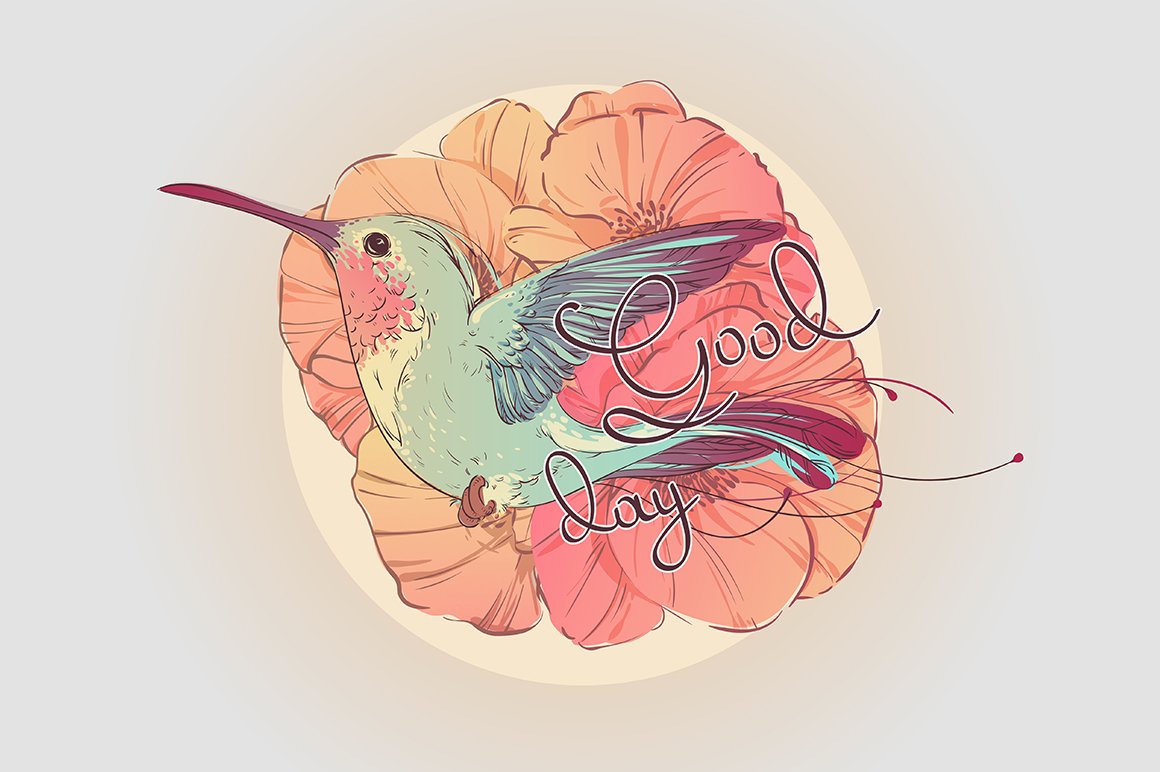 Two vector illustration of colibri preview image.