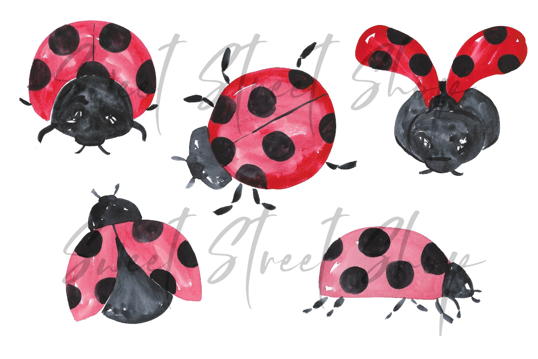 Lady Bug Watercolor Clipart preview image.