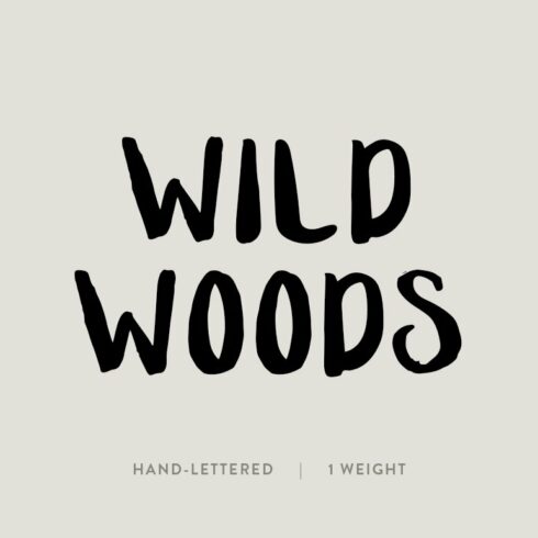 Wild Woods / hand lettered font cover image.
