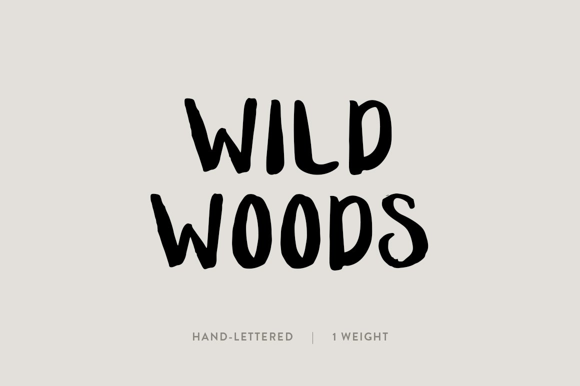 Wild Woods / hand lettered font cover image.