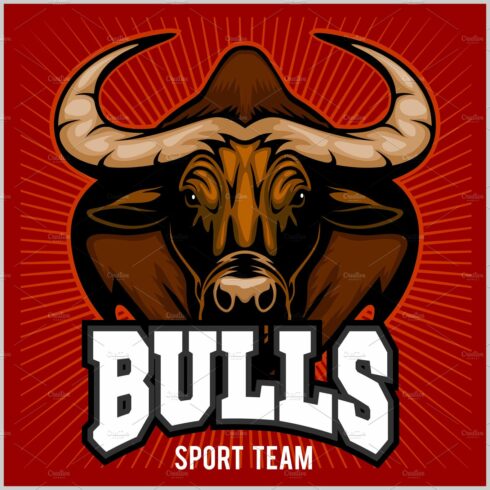 Bulls Mascot Illustration cover image.