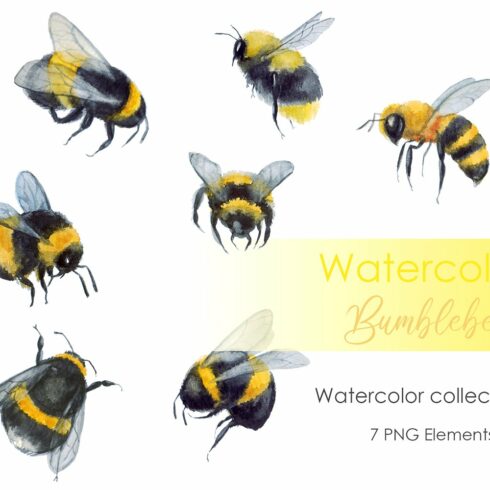 Watercolor clipart Bumblebee clipart cover image.