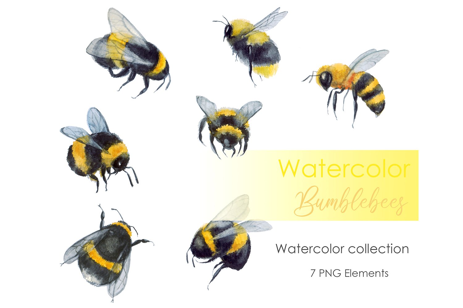 Watercolor clipart Bumblebee clipart cover image.