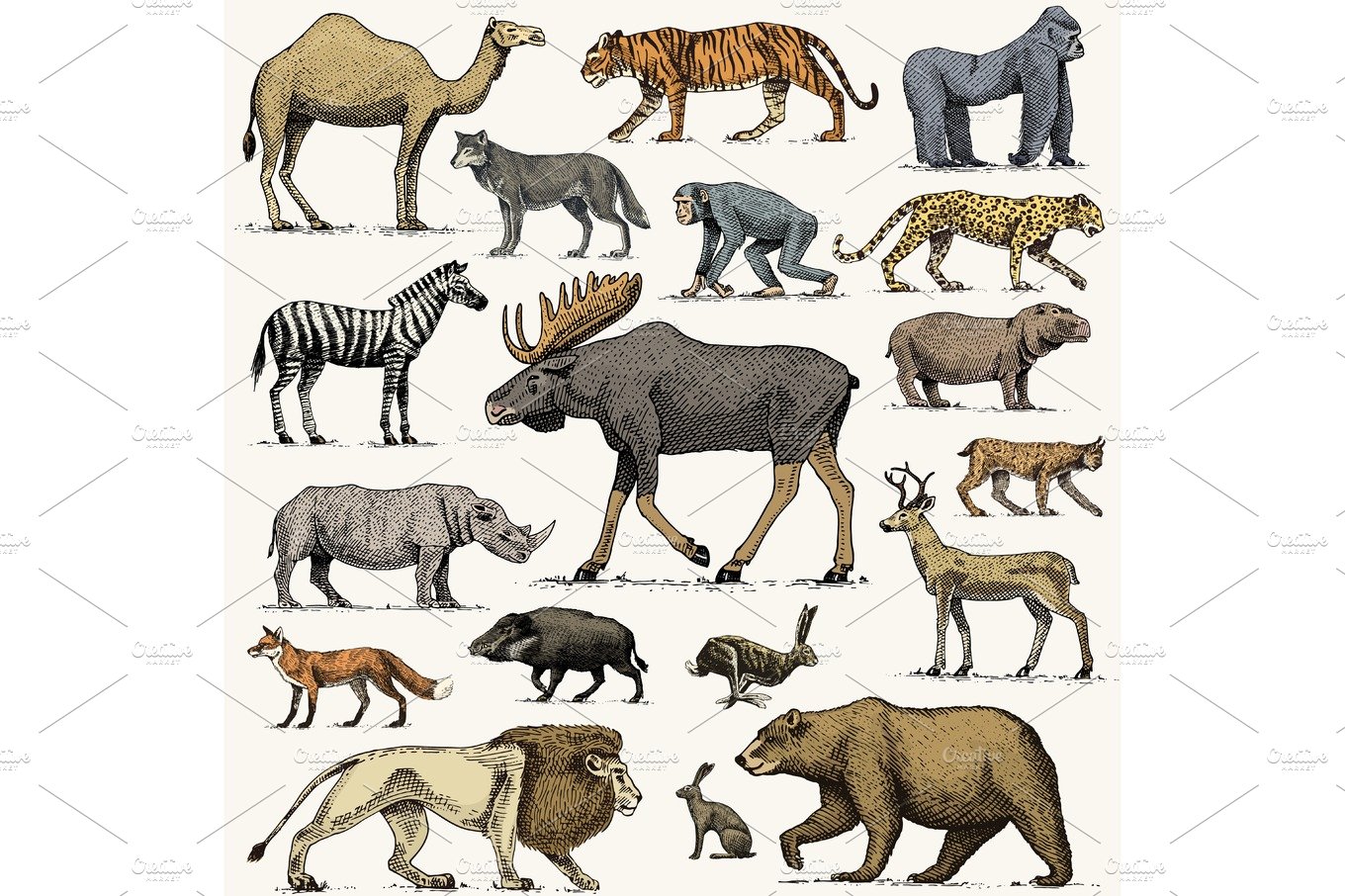 gorilla, moose or eurasian elk, camel and deer, rhinoceros. hare, wolf and ... cover image.