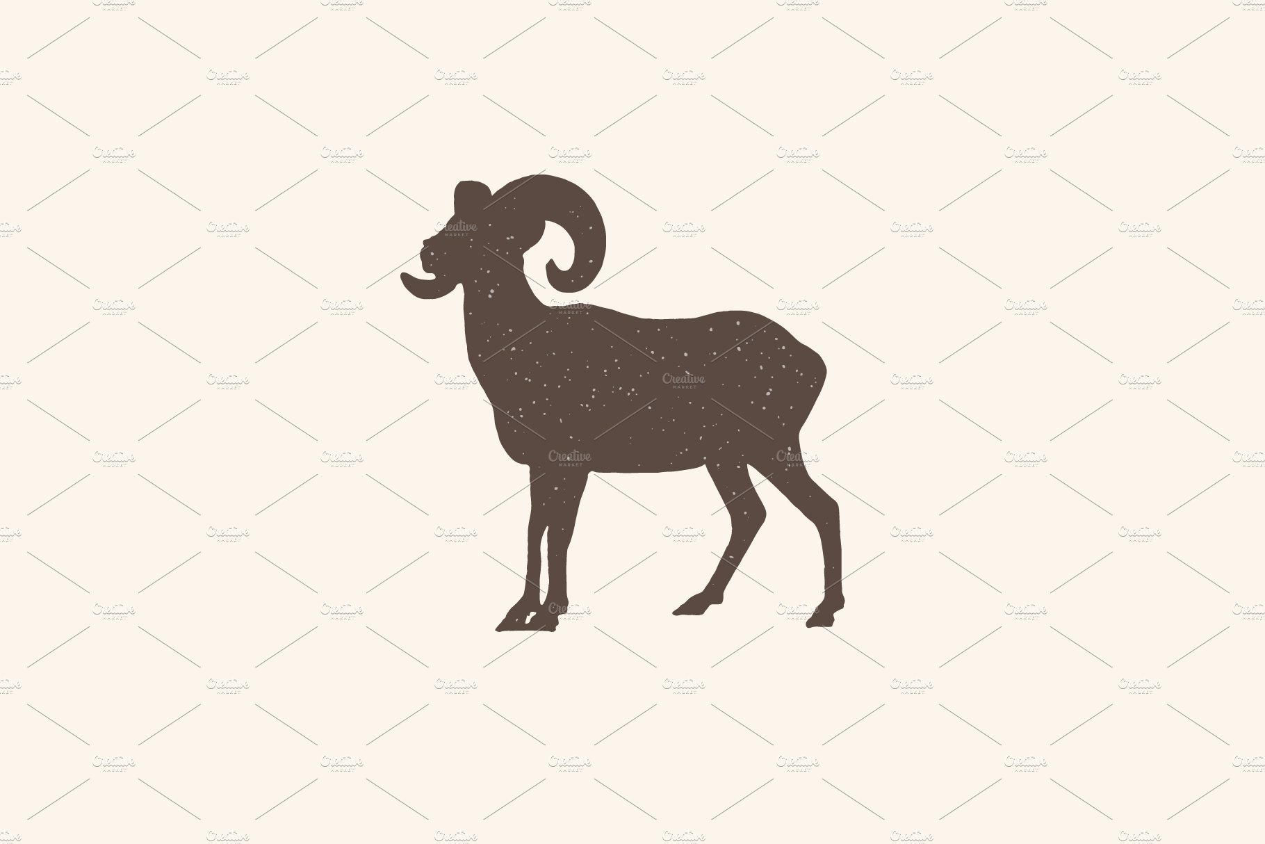 bighornsheep 129