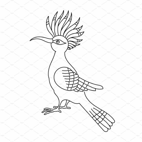 Hoopoe bird. Editable outline stroke cover image.