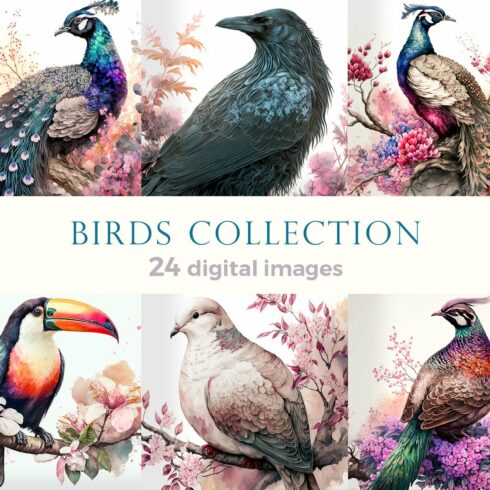 Paintings set of exotic birds cover image.