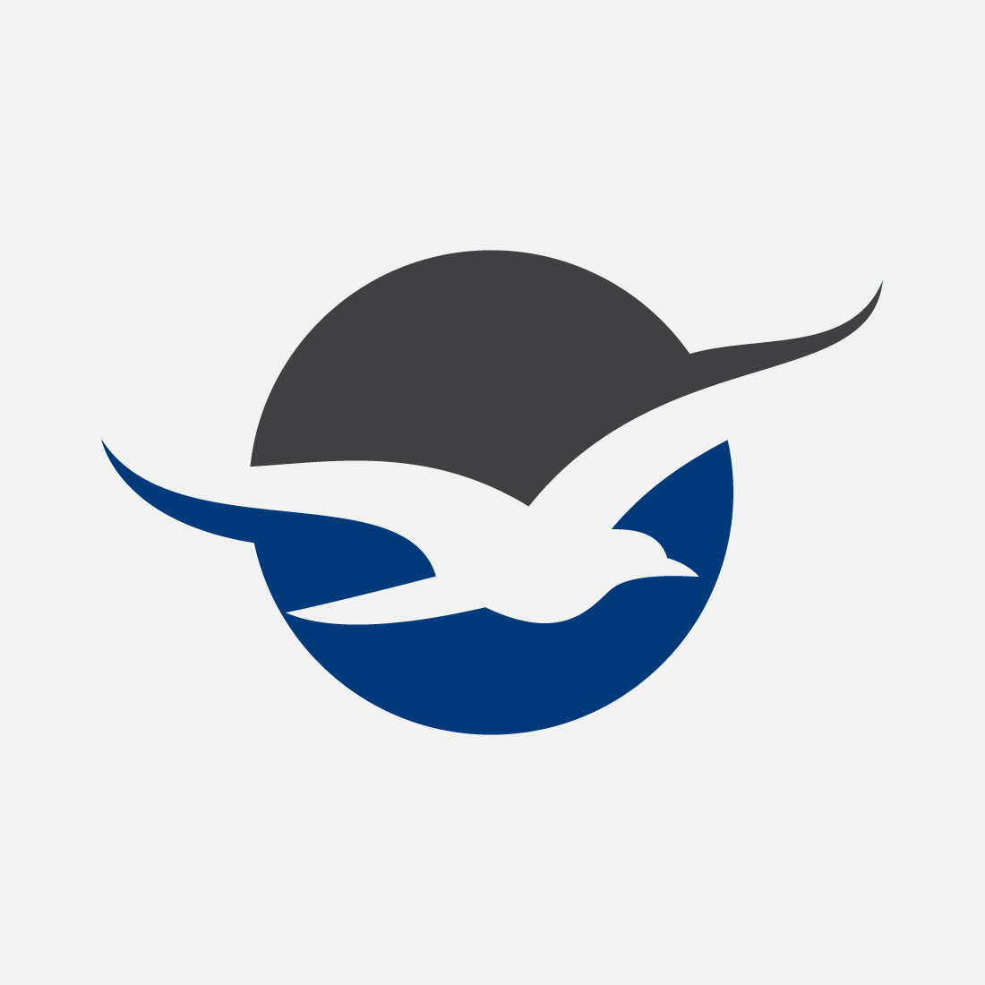 Flying bird into a circle logo, Bird logo design vector illustration preview image.