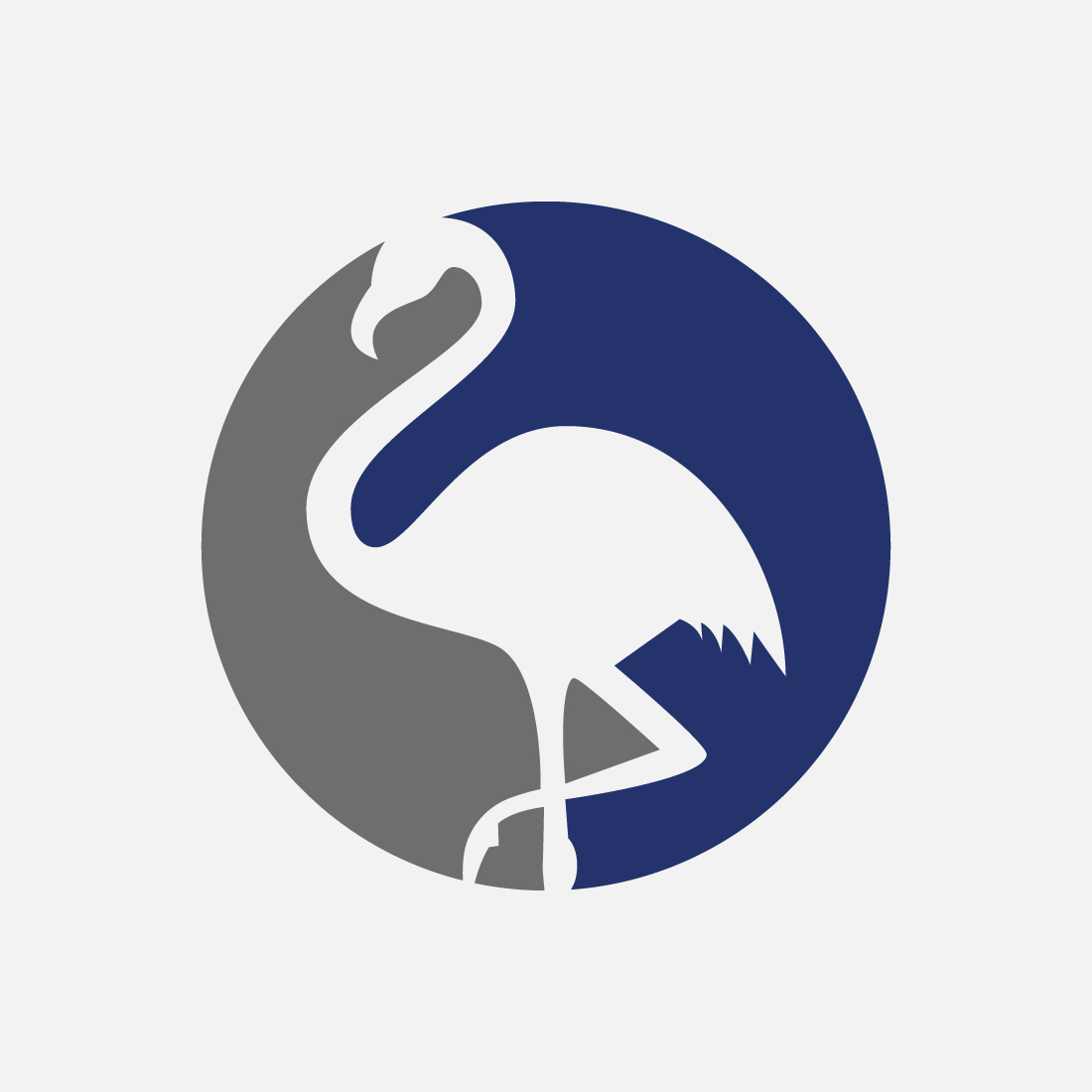 Pelican bird on beach vector logo, Bird logo design vector illustration preview image.