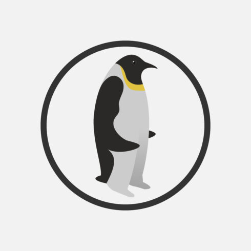 Penguin logo design template vector illustration, Bird logo design cover image.