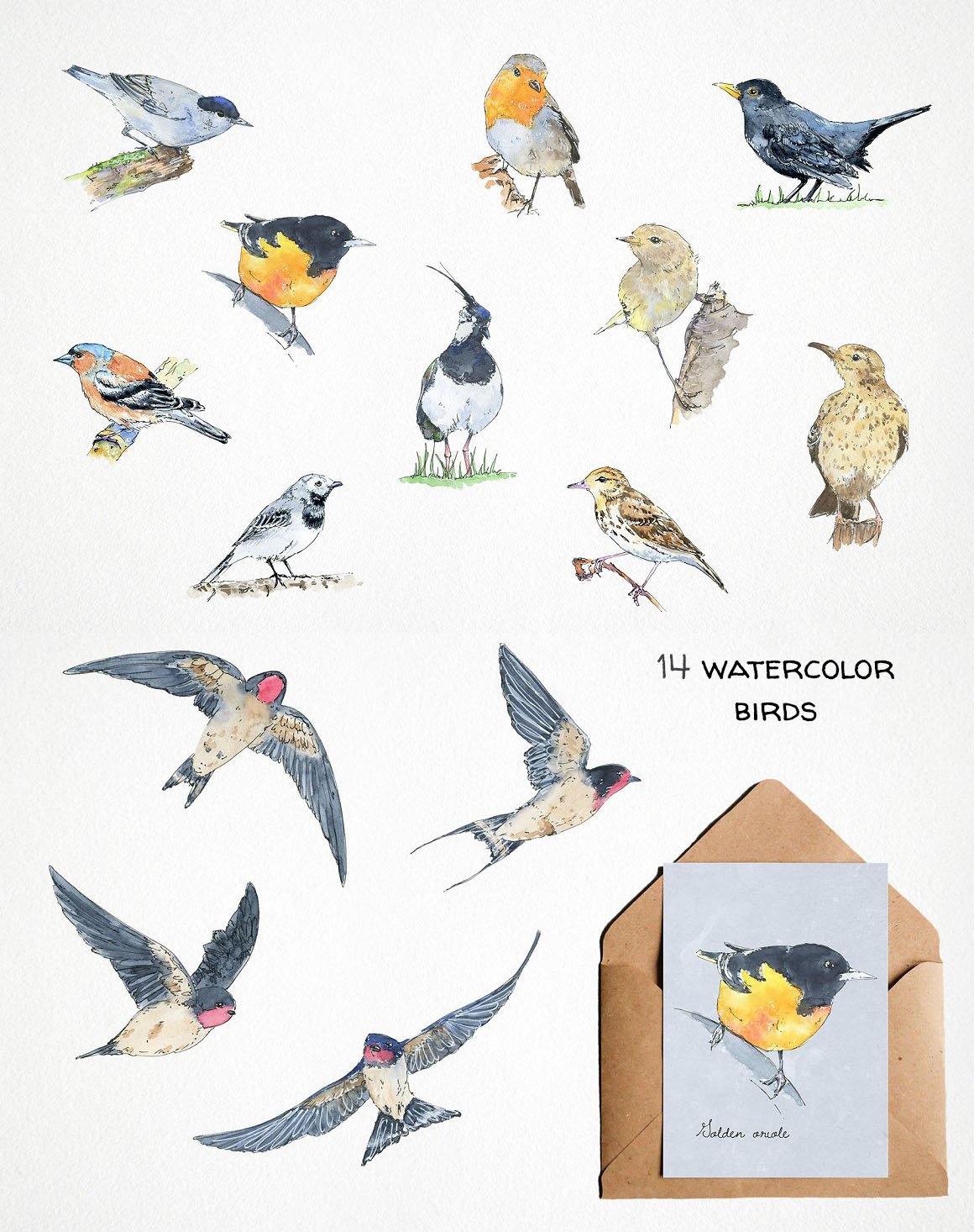 watercolor tropical birds clipart preview image.