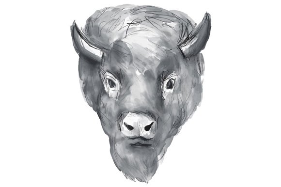 American Bison Head Watercolor cover image.