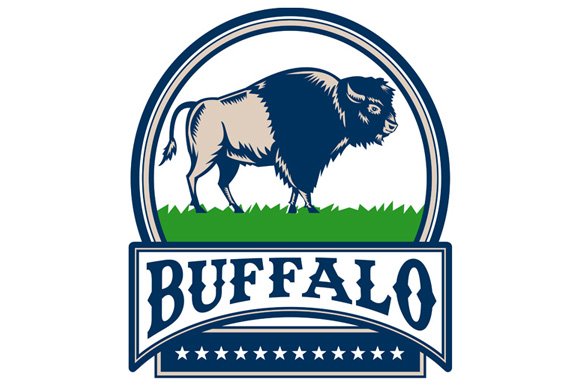 American Bison Buffallo Banner cover image.