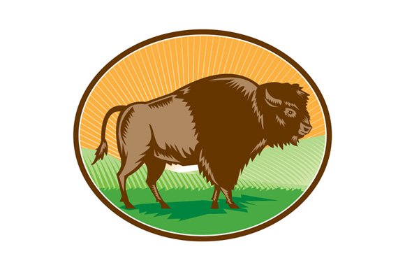 American Bison Oval Woodcut cover image.