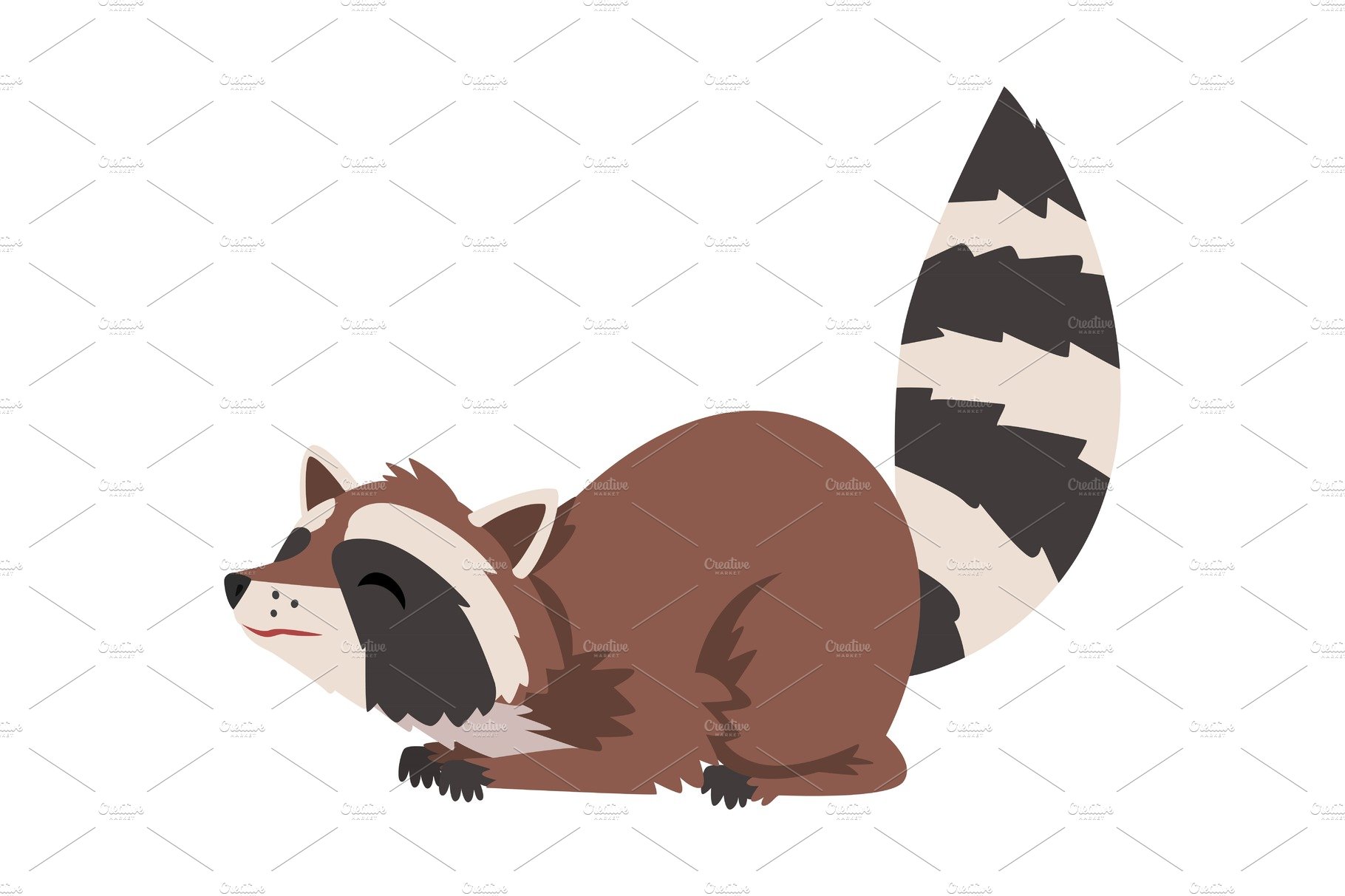 Cute Lovely Raccoon, Adorable Wild cover image.