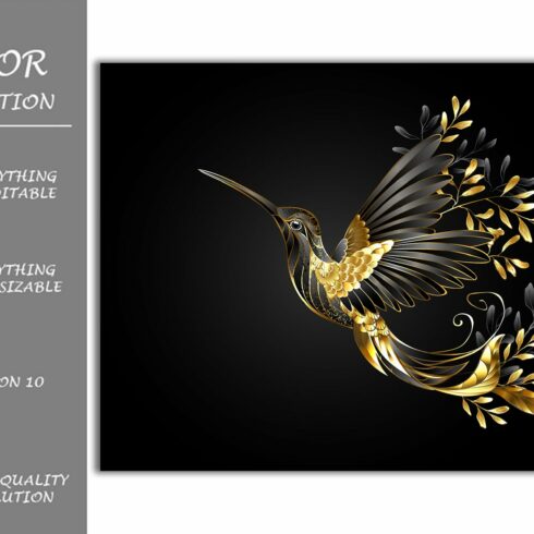 Black Jewelry Hummingbird cover image.