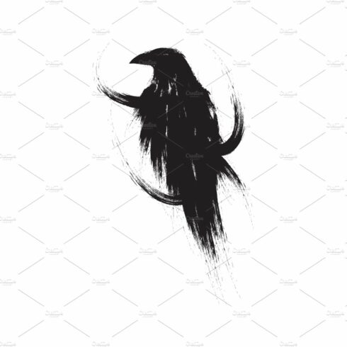 Black raven. Blackbird. Crow. cover image.