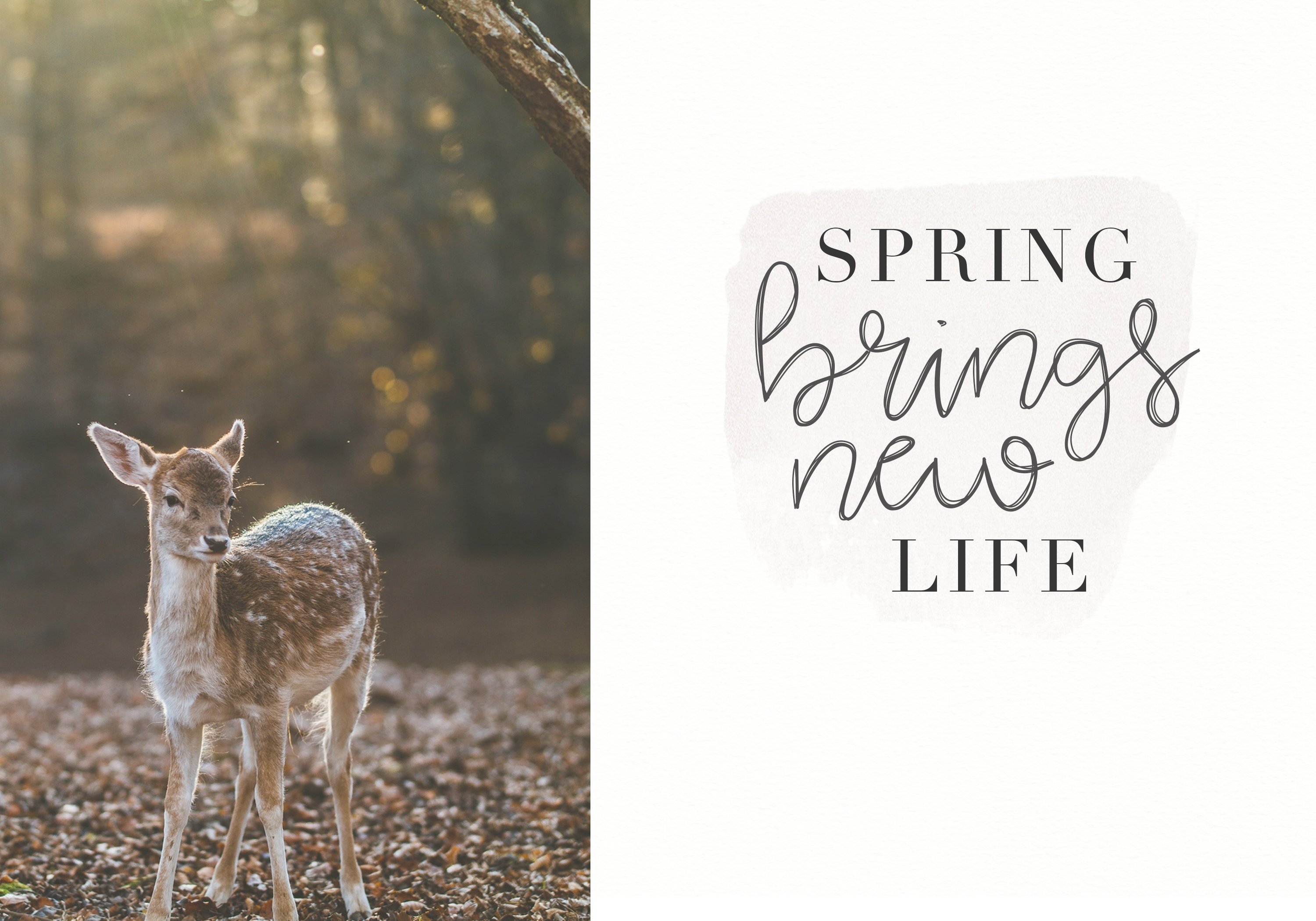 Blooming - Handwritten Font preview image.