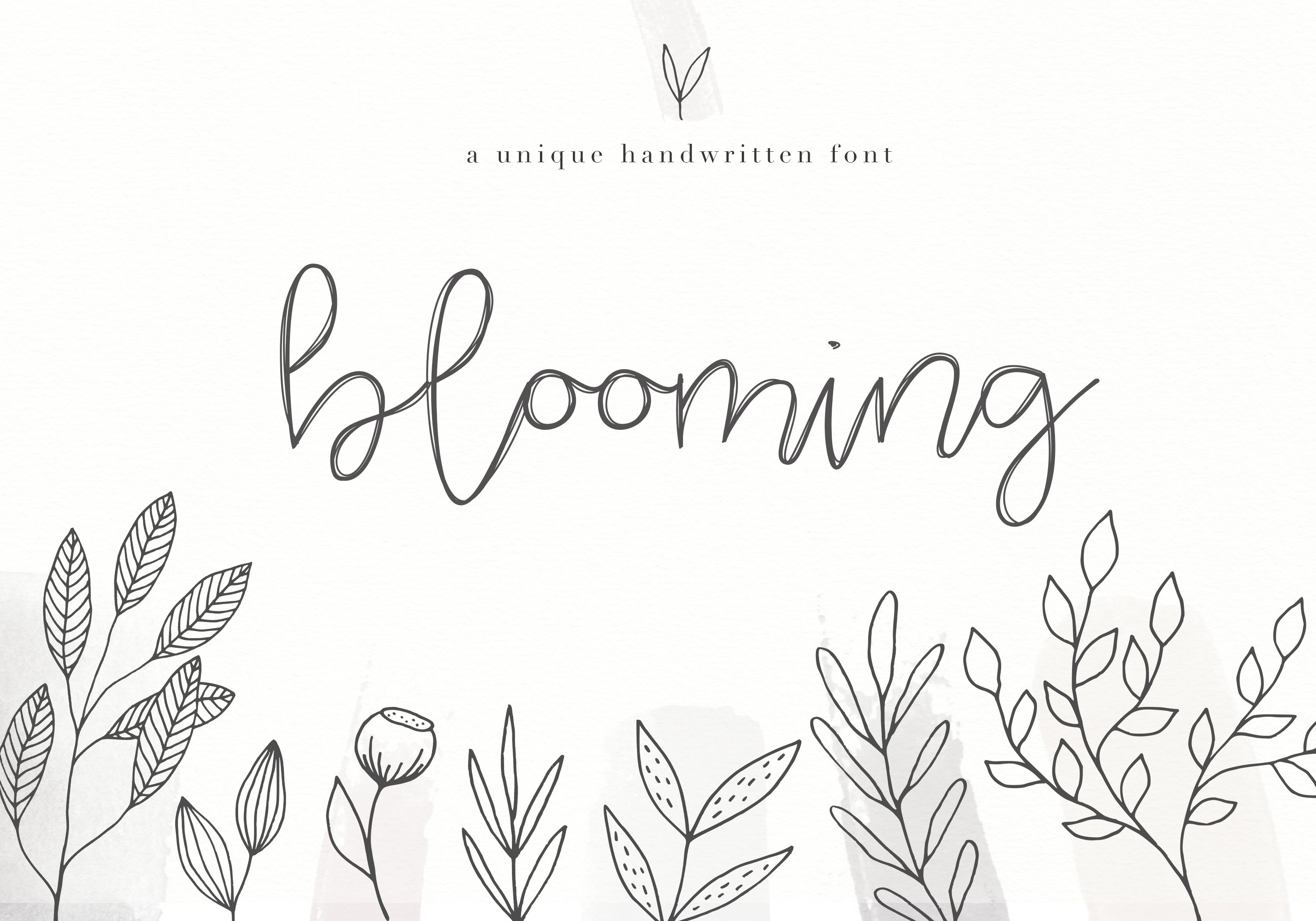 Blooming - Handwritten Font cover image.