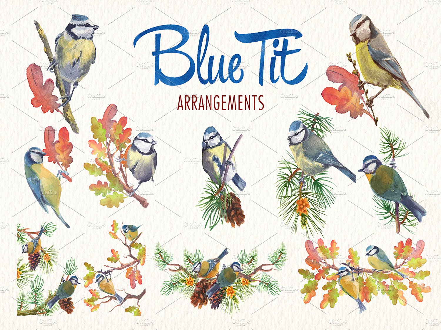 blue tit arrangements 73