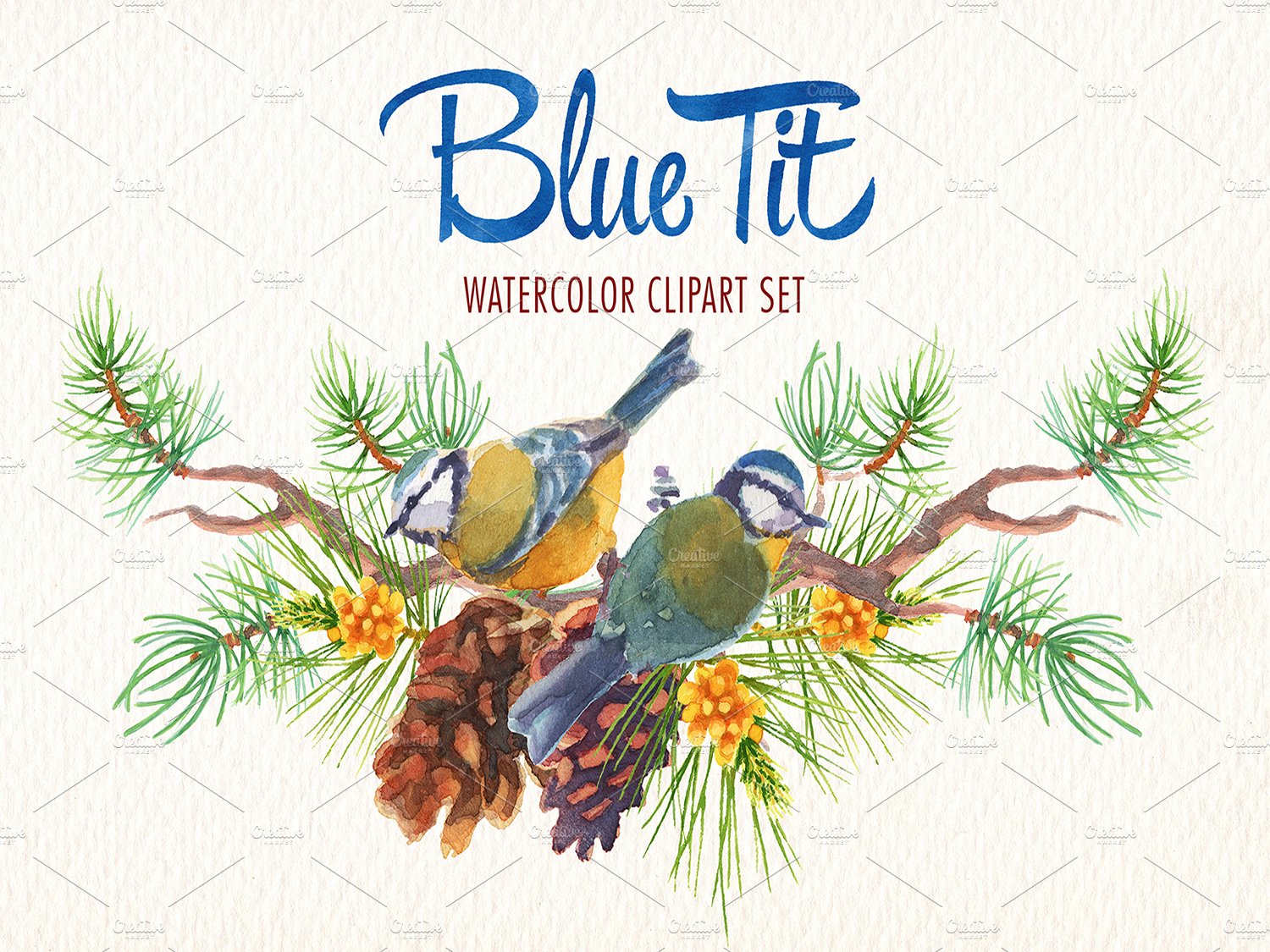 Watercolor blue tit bird clipart preview image.