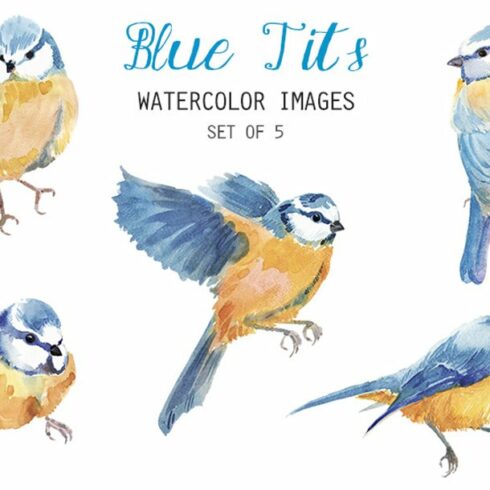 Watercolor Blue Tits Clipart cover image.