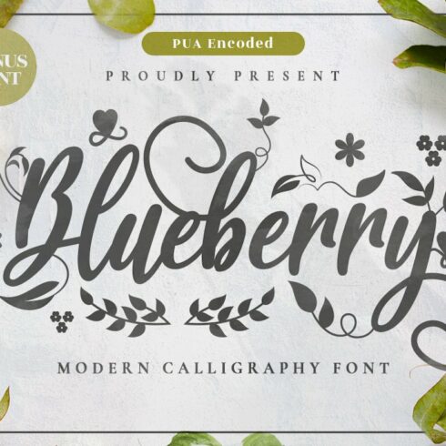 Blueberry - Modern Calligraphy Font cover image.