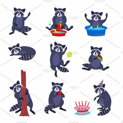 Characters Funny Raccoon  Set. cover image.