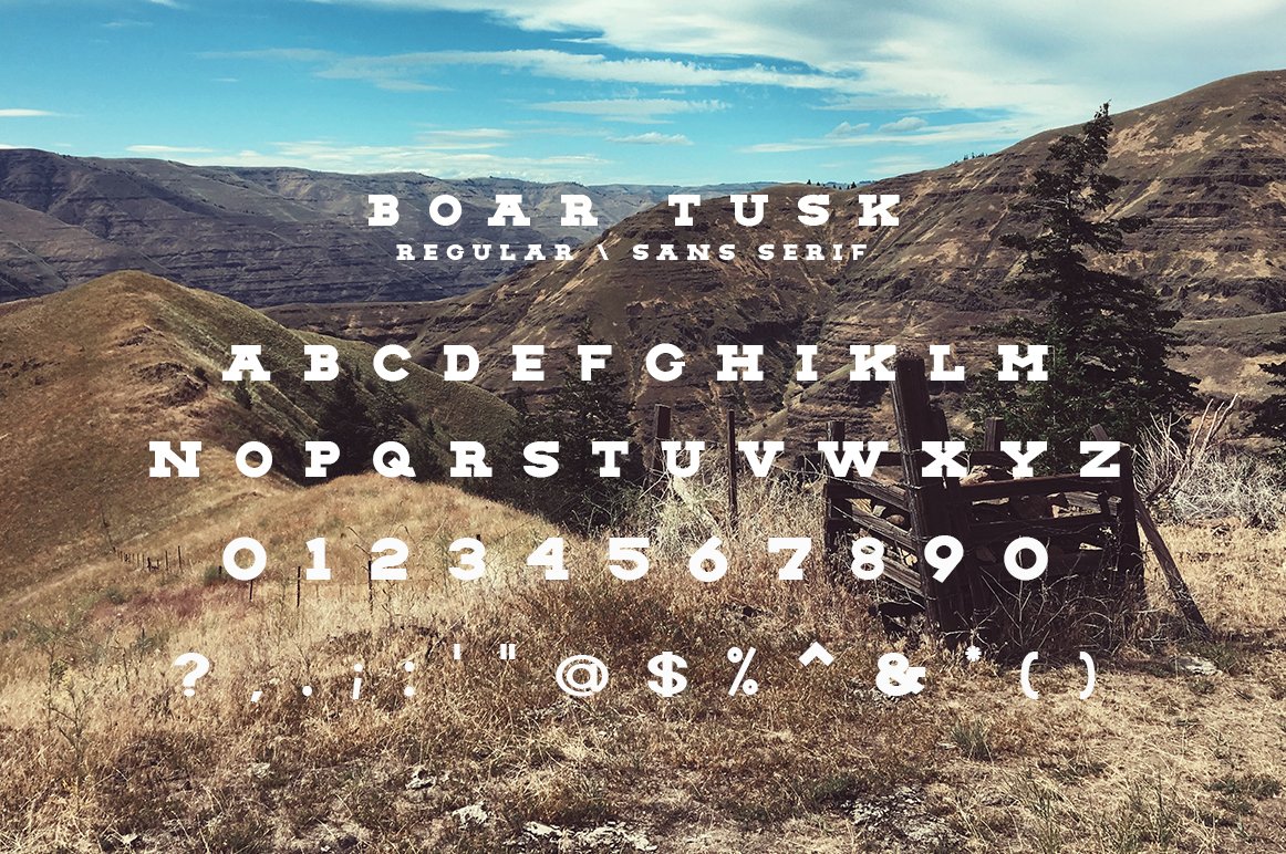 BOAR TUSK Font Family preview image.